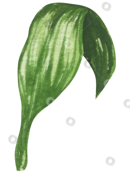 Скачать Набор женских аксессуаров, выполненных акварелью. Косметика, обувь, духи, платье, сумка, солнцезащитные очки, польский клипарт. Для наклеек для ежедневника, текстильных принтов, поделок. фотосток Ozero