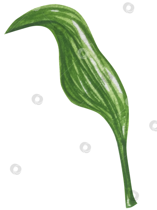 Скачать Набор женских аксессуаров, выполненных акварелью. Косметика, обувь, духи, платье, сумка, солнцезащитные очки, польский клипарт. Для наклеек для ежедневника, текстильных принтов, поделок. фотосток Ozero