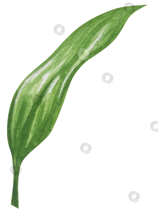 Скачать Набор женских аксессуаров, выполненных акварелью. Косметика, обувь, духи, платье, сумка, солнцезащитные очки, польский клипарт. Для наклеек для ежедневника, текстильных принтов, поделок. фотосток Ozero