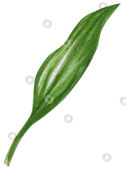 Скачать Набор женских аксессуаров, выполненных акварелью. Косметика, обувь, духи, платье, сумка, солнцезащитные очки, польский клипарт. Для наклеек для ежедневника, текстильных принтов, поделок. фотосток Ozero