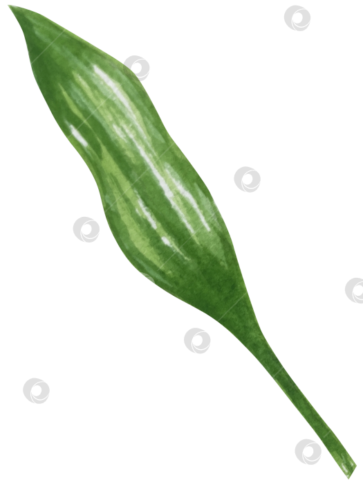 Скачать Набор женских аксессуаров, выполненных акварелью. Косметика, обувь, духи, платье, сумка, солнцезащитные очки, польский клипарт. Для наклеек для ежедневника, текстильных принтов, поделок. фотосток Ozero