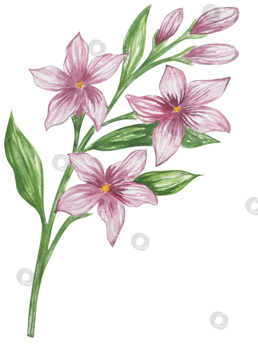 Скачать Набор женских аксессуаров, выполненных акварелью. Косметика, обувь, духи, платье, сумка, солнцезащитные очки, польский клипарт. Для наклеек для ежедневника, текстильных принтов, поделок. фотосток Ozero