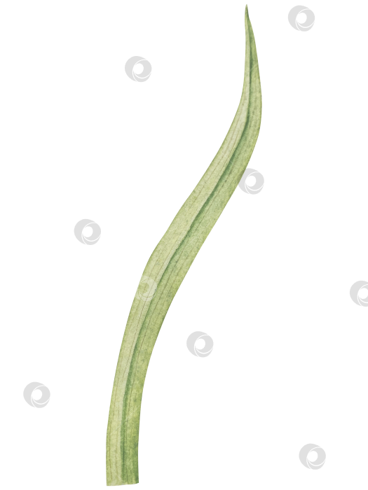 Скачать Традиционный набор праздничных элементов декора "Пасхальный цветок". Акварельная иллюстрация. Разноцветные яйца, узелки, весенние садовые цветы и корзина. Пасхальный набор украшений для букетов, венков, открыток, поздравлений. фотосток Ozero