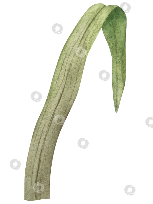 Скачать Традиционный набор праздничных элементов декора "Пасхальный цветок". Акварельная иллюстрация. Разноцветные яйца, узелки, весенние садовые цветы и корзина. Пасхальный набор украшений для букетов, венков, открыток, поздравлений. фотосток Ozero