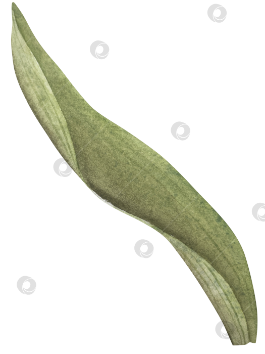 Скачать Традиционный набор праздничных элементов декора "Пасхальный цветок". Акварельная иллюстрация. Разноцветные яйца, узелки, весенние садовые цветы и корзина. Пасхальный набор украшений для букетов, венков, открыток, поздравлений. фотосток Ozero