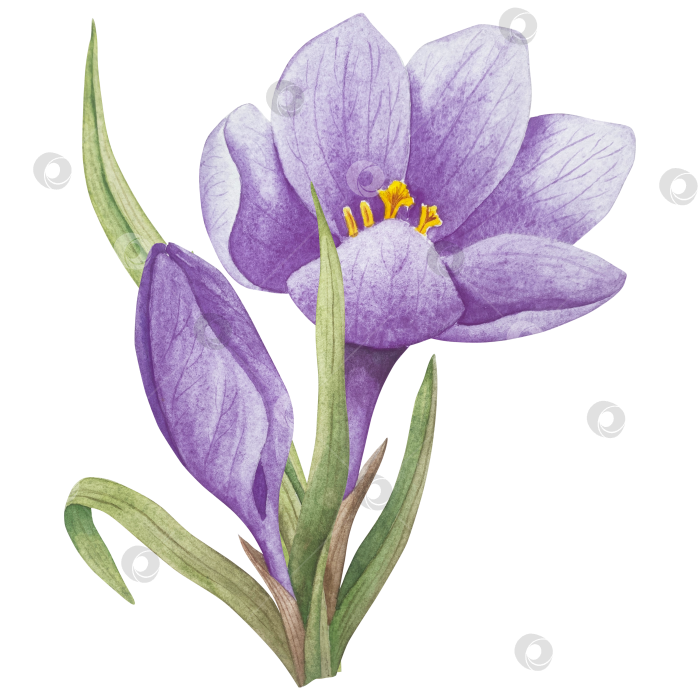 Скачать Традиционный набор праздничных элементов декора "Пасхальный цветок". Акварельная иллюстрация. Разноцветные яйца, узелки, весенние садовые цветы и корзина. Пасхальный набор украшений для букетов, венков, открыток, поздравлений. фотосток Ozero