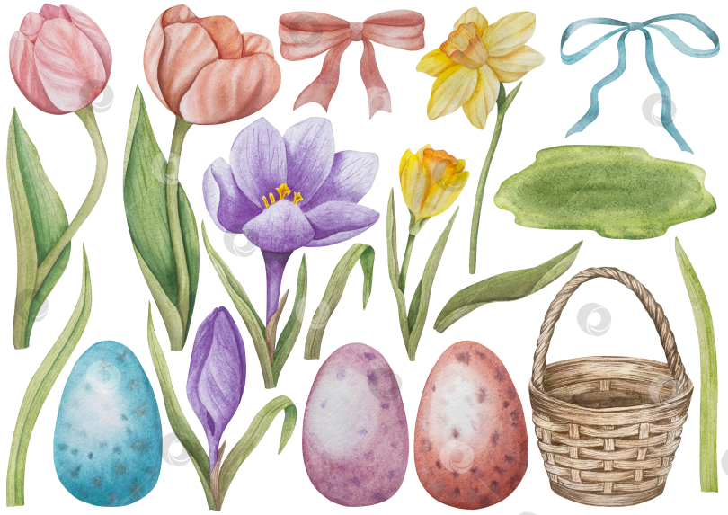 Скачать Традиционный набор праздничных элементов декора "Пасхальный цветок". Акварельная иллюстрация. Разноцветные яйца, узелки, весенние садовые цветы и корзина. Пасхальный набор украшений для букетов, венков, открыток, поздравлений. фотосток Ozero