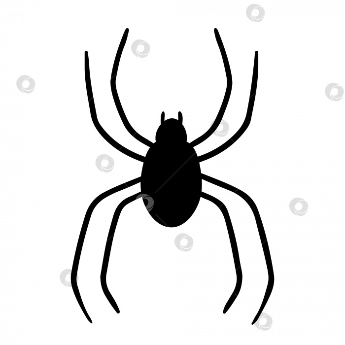 Скачать Черный силуэт паука, выделенный на белом фоне фотосток Ozero