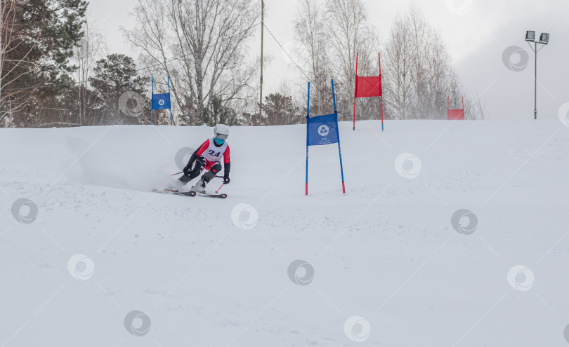 Скачать Россия, Красноярск 25 февраля 2025г. Мальчик лыжник, спускается на лыжах по снежному склону. фотосток Ozero