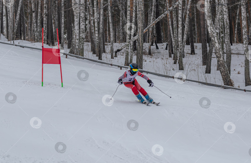 Скачать Россия, Красноярск 25 февраля 2025г. Мальчик лыжник, спускается на лыжах по снежному склону. фотосток Ozero