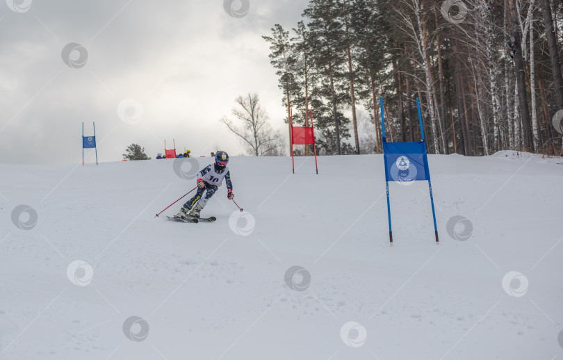 Скачать Россия, Красноярск 25 февраля 2025г. Мальчик лыжник, спускается на лыжах по снежному склону. фотосток Ozero