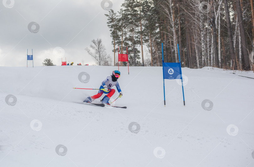 Скачать Россия, Красноярск 25 февраля 2025г. Мальчик лыжник, спускается на лыжах по снежному склону. фотосток Ozero