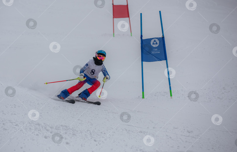 Скачать Россия, Красноярск 25 февраля 2025г. Мальчик лыжник, спускается на лыжах по снежному склону. фотосток Ozero