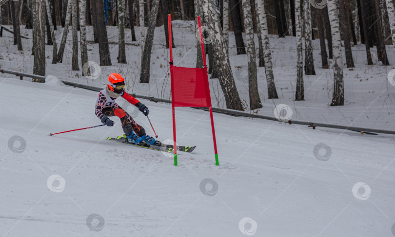 Скачать Россия, Красноярск 25 февраля 2025г. Мальчик лыжник, спускается на лыжах по снежному склону. фотосток Ozero