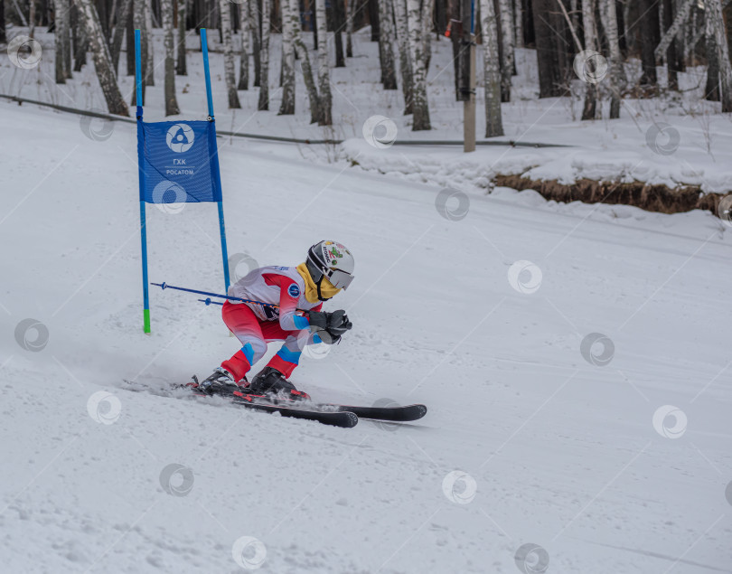 Скачать Россия, Красноярск 25 февраля 2025г. Мальчик лыжник, спускается на лыжах по снежному склону. фотосток Ozero