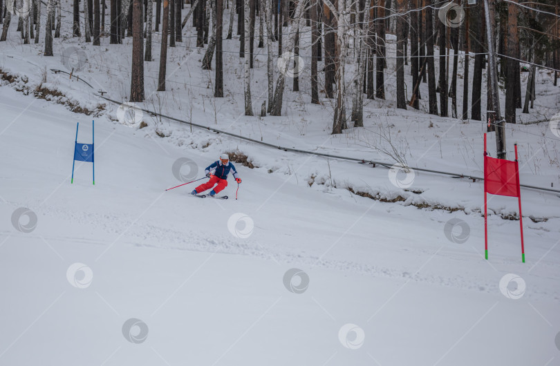 Скачать Россия, Красноярск 25 февраля 2025г. Мальчик лыжник, спускается на лыжах по снежному склону. фотосток Ozero