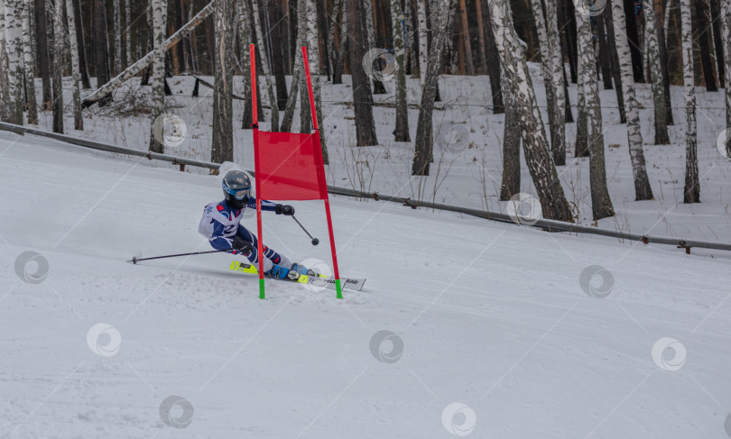Скачать Россия, Красноярск 25 февраля 2025г. Мальчик лыжник, спускается на лыжах по снежному склону. фотосток Ozero
