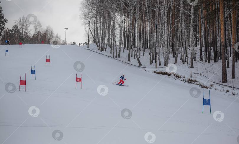 Скачать Россия, Красноярск 25 февраля 2025г. Мальчик лыжник, спускается на лыжах по снежному склону. фотосток Ozero