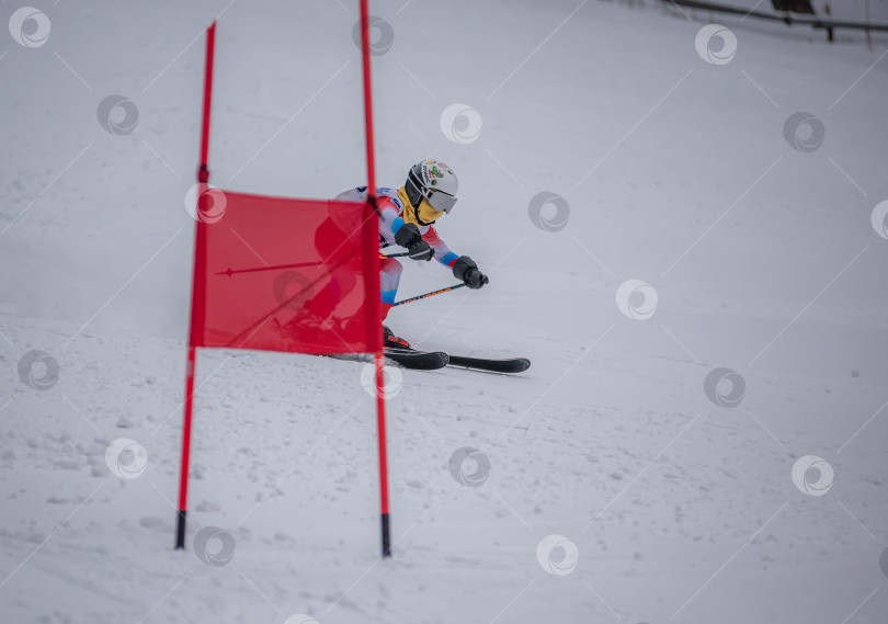 Скачать Россия, Красноярск 25 февраля 2025г. Мальчик лыжник, спускается на лыжах по снежному склону. фотосток Ozero