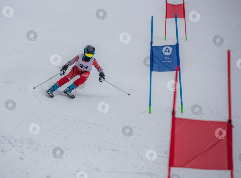 Скачать Россия, Красноярск 25 февраля 2025г. Мальчик лыжник, спускается на лыжах по снежному склону. фотосток Ozero