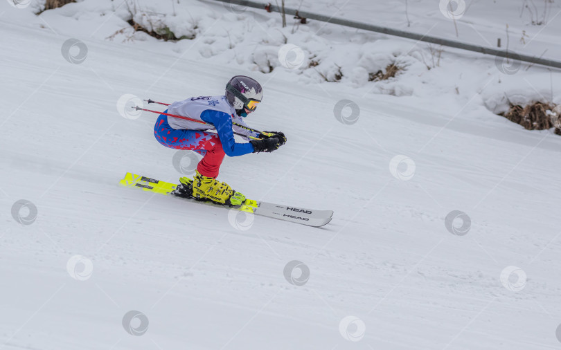 Скачать Россия, Красноярск 25 февраля 2025г. Мальчик лыжник, спускается на лыжах по снежному склону. фотосток Ozero