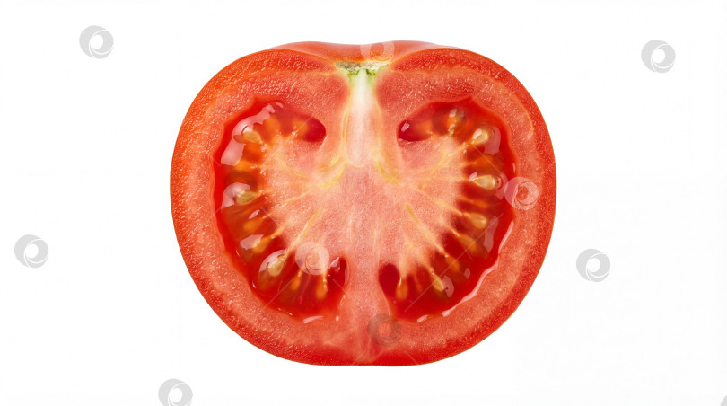 Скачать Срез спелого красного помидора в реалистичном стиле, в красных и белых цветах, показывает внутреннюю структуру и сочность на белом фоне с пробелом для копирования фотосток Ozero