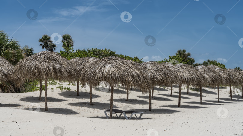 Скачать Ряды соломенных зонтиков на песчаном пляже. Круглые тени на белом песке. фотосток Ozero