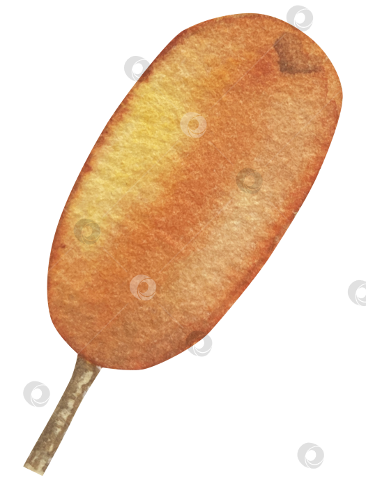 Скачать Акварельная иллюстрация ветки облепихи со спелыми ягодами и зелеными листьями на белом фоне, акварельный клипарт для дизайна упаковки и продуктов питания. фотосток Ozero