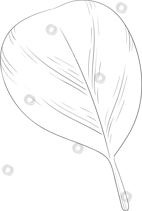 Скачать Черно-белые чернила в векторном стиле иллюстрируют садовые инструменты и принадлежности. Гравюра с весенним настроением для упаковки, открыток и декоративных целей фотосток Ozero