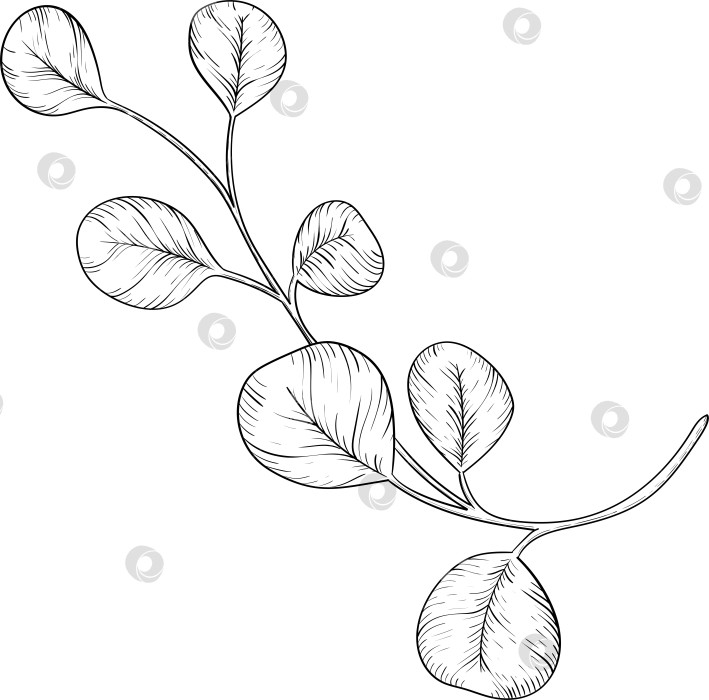 Скачать Черно-белые чернила в векторном стиле иллюстрируют садовые инструменты и принадлежности. Гравюра с весенним настроением для упаковки, открыток и декоративных целей фотосток Ozero