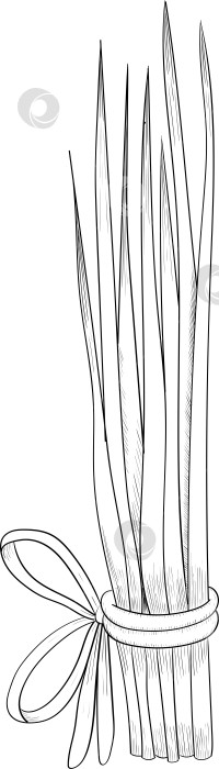 Скачать Черно-белая векторная иллюстрация садовых инструментов и принадлежностей. Гравюра с весенним настроением для упаковки, открыток и декоративных целей. фотосток Ozero