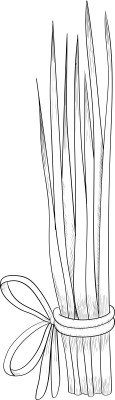 [object Object] undefined