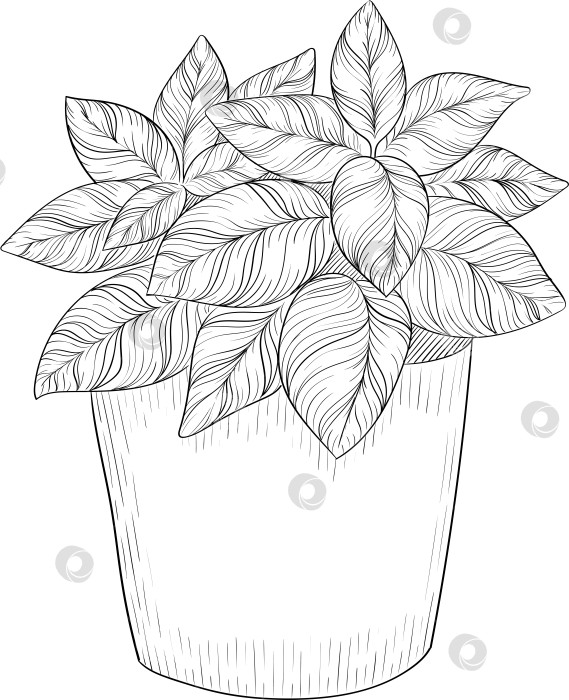 Скачать Черно-белая векторная иллюстрация садовых инструментов и принадлежностей. Гравюра с весенним настроением для упаковки, открыток и декоративных целей. фотосток Ozero