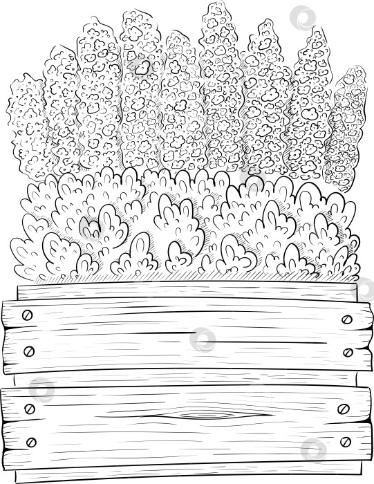 Скачать Черно-белые чернила в векторном стиле иллюстрируют садовые инструменты и принадлежности. Гравюра с весенним настроением для упаковки, открыток и декоративных целей фотосток Ozero