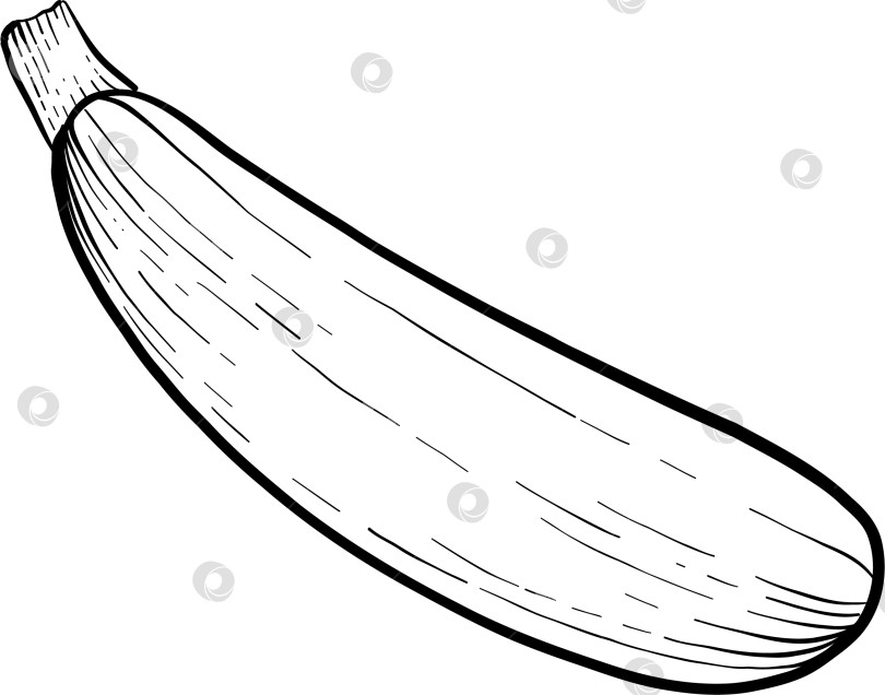 Скачать Иллюстрации различных блюд итальянской кухни в стиле черно-белой гравюры. Идеально подходит для оформления меню, упаковки или печати фотосток Ozero