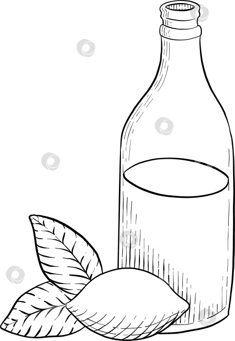 Скачать Иллюстрации различных блюд итальянской кухни в стиле черно-белой гравюры. Идеально подходит для оформления меню, упаковки или печати фотосток Ozero