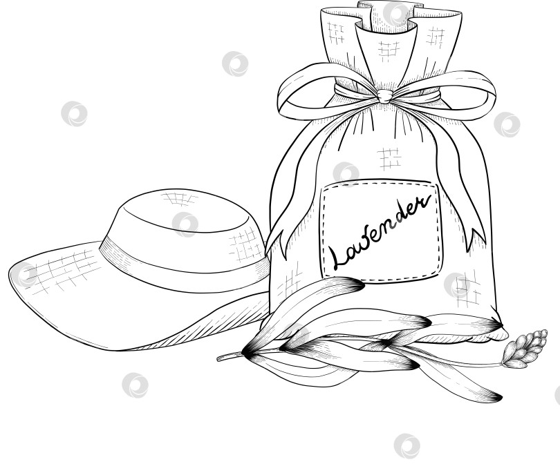 Скачать Ботанический эскиз лаванды, выполненный вручную черными чернилами на белой бумаге, с натуралистичными деталями и изящными линиями. фотосток Ozero