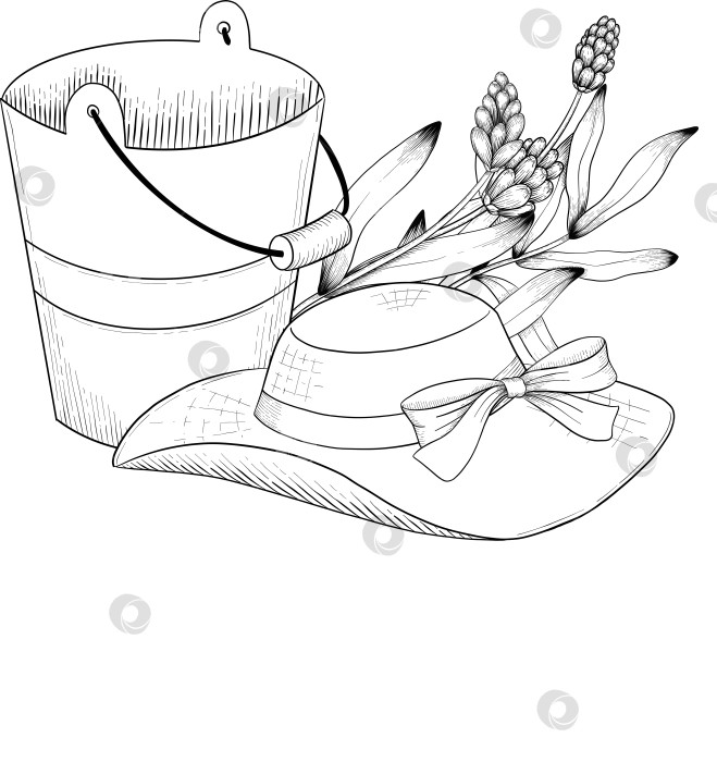 Скачать Ботанический эскиз лаванды, выполненный вручную черными чернилами на белой бумаге, с натуралистичными деталями и изящными линиями. фотосток Ozero