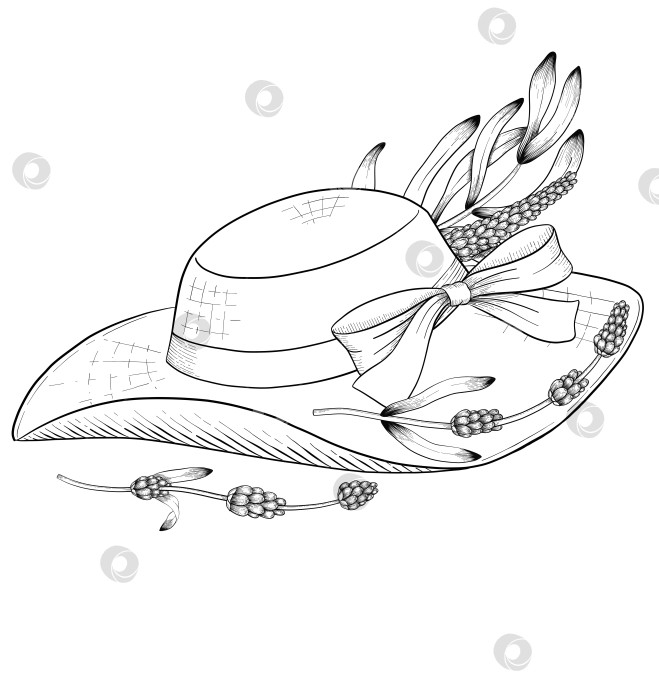 Скачать Ботанический эскиз лаванды, выполненный вручную черными чернилами на белой бумаге, с натуралистичными деталями и изящными линиями. фотосток Ozero