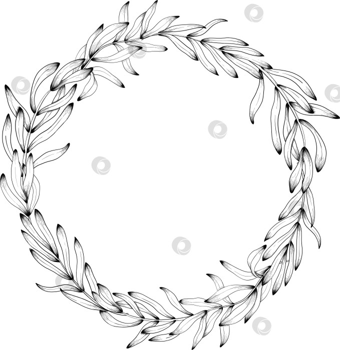 Скачать Ботанический эскиз лаванды, выполненный вручную черными чернилами на белой бумаге, с натуралистичными деталями и изящными линиями. фотосток Ozero