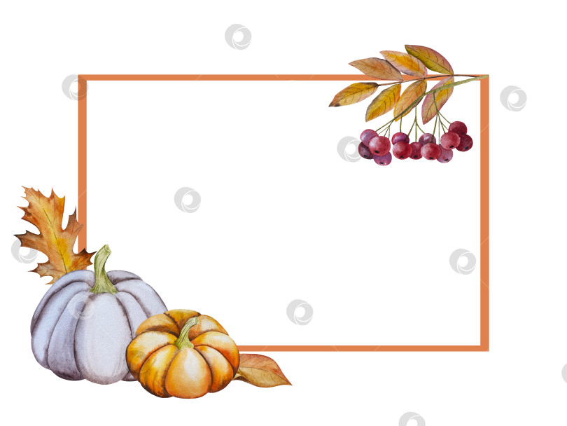 Скачать Ручная роспись акварелью осеннего набора тыкв, желудей, осенних листьев, грибов, ягод рябины, выделенных на белом фоне. Идеально подходит для создания открыток, дизайна. Иллюстрации ко дню благодарения фотосток Ozero