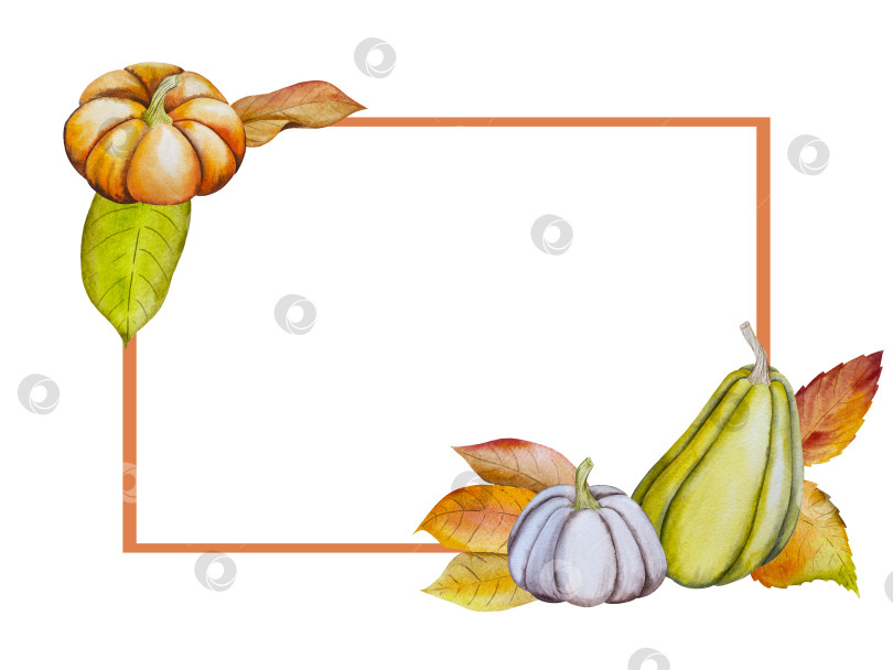Скачать Ручная роспись акварелью осеннего набора тыкв, желудей, осенних листьев, грибов, ягод рябины, выделенных на белом фоне. Идеально подходит для создания открыток, дизайна. Иллюстрации ко дню благодарения фотосток Ozero