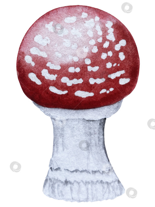 Скачать Ручная роспись акварелью осеннего набора тыкв, желудей, осенних листьев, грибов, ягод рябины, выделенных на белом фоне. Идеально подходит для создания открыток, дизайна. Иллюстрации ко дню благодарения фотосток Ozero