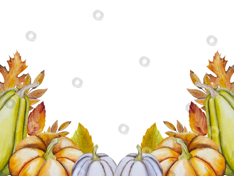 Скачать Ручная роспись акварелью осеннего набора тыкв, желудей, осенних листьев, грибов, ягод рябины, выделенных на белом фоне. Идеально подходит для создания открыток, дизайна. Иллюстрации ко дню благодарения фотосток Ozero