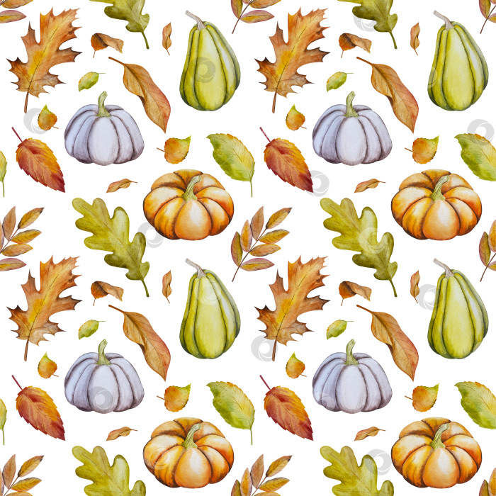 Скачать Ручная роспись акварелью осеннего набора тыкв, желудей, осенних листьев, грибов, ягод рябины, выделенных на белом фоне. Идеально подходит для создания открыток, дизайна. Иллюстрации ко дню благодарения фотосток Ozero
