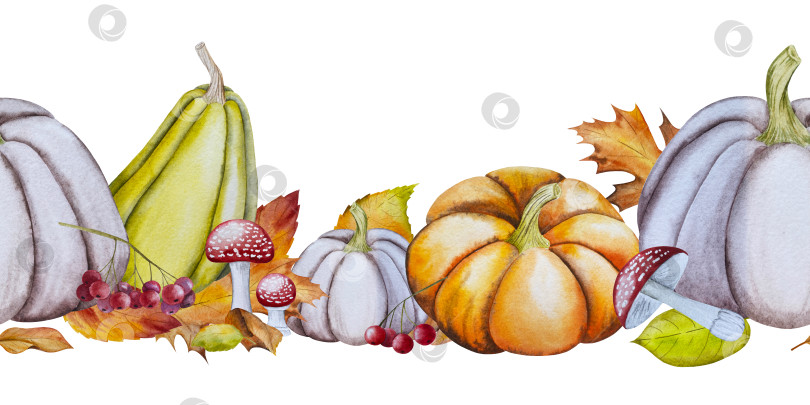 Скачать Ручная роспись акварелью осеннего набора тыкв, желудей, осенних листьев, грибов, ягод рябины, выделенных на белом фоне. Идеально подходит для создания открыток, дизайна. Иллюстрации ко дню благодарения фотосток Ozero