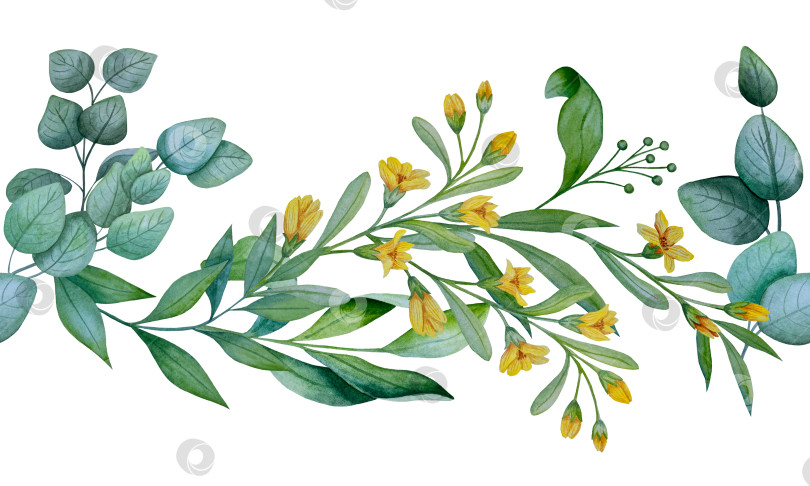 Скачать Коллекция акварельных рисунков на листьях эвкалипта и желтых полевых цветах. Элементы ботанического клипарта, выделенные на белом фоне. Набор предметов для декора, дизайна, постера, баннера, свадьбы, логотипа фотосток Ozero