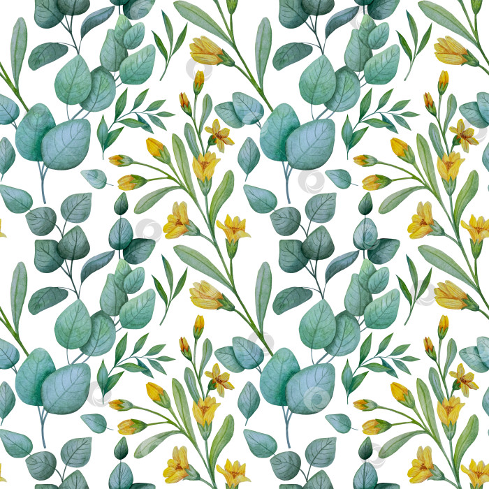 Скачать Коллекция акварельных рисунков на листьях эвкалипта и желтых полевых цветах. Элементы ботанического клипарта, выделенные на белом фоне. Набор предметов для декора, дизайна, постера, баннера, свадьбы, логотипа фотосток Ozero