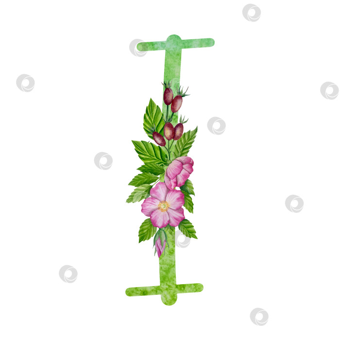 Скачать Алфавит, набор цветочных букв с акварельной росписью цветов, роз и листьев. Изолированные монограммы-инициалы идеально подходят для свадебных приглашений, поздравительных открыток, логотипов, плакатов и прочего. Праздничный дизайн. фотосток Ozero