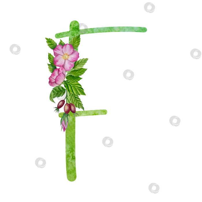 Скачать Алфавит, цветочный набор букв с акварельной росписью цветов, роз и листьев. Изолированные монограммы-инициалы идеально подходят для свадебных приглашений, поздравительных открыток, логотипов, плакатов и прочего. Праздничный дизайн. фотосток Ozero